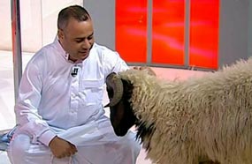 جابر القرموطي مع الخروف في الأستوديو