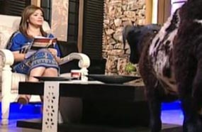 خروف على التلفزيون المصري