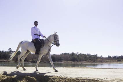 خالد النبوي في "واحة الغروب"