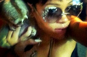 ريانا مع حيوان لوريس الكسلان