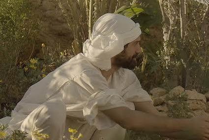 واحة الغروب