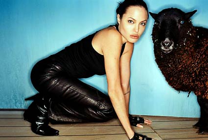 أنجلينا جولي بعدسة ديفيد لاشابيل 