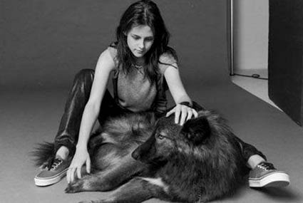 وجدت الممثلة الامريكية كريستين ستيوارت ضالتها في تربية كلب من نوع الذئب اطلقت عليه اسم   Jack وصرحت من قبل ان والدتها كانت تقوم بتربية مثل هذا النوع من الكلاب