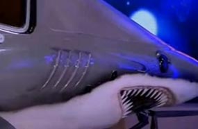 قرش رامز جلال