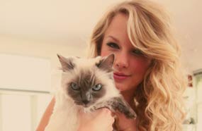 تايلور سويفت عاشقة للقطط بشكل جنوني