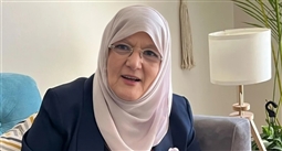 شمس البارودي