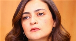 علا الشافعي